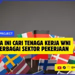 Negara Cari Tenaga Kerja WNI untuk Berbagai Sektor Pekerjaan